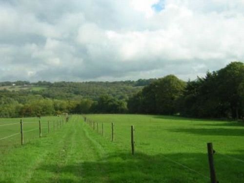 Wadhurst Little Tidebrook Farm Bed & Breakfast エクステリア 写真