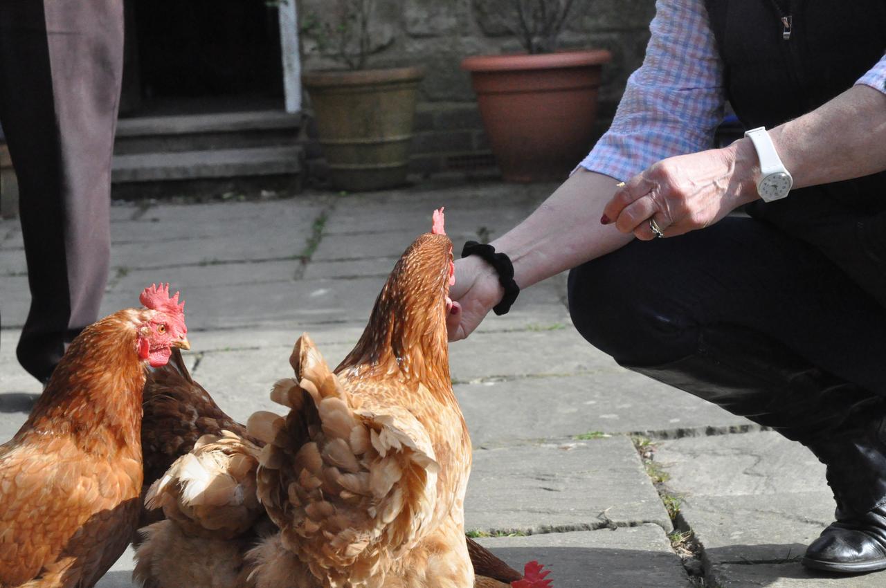 Wadhurst Little Tidebrook Farm Bed & Breakfast エクステリア 写真